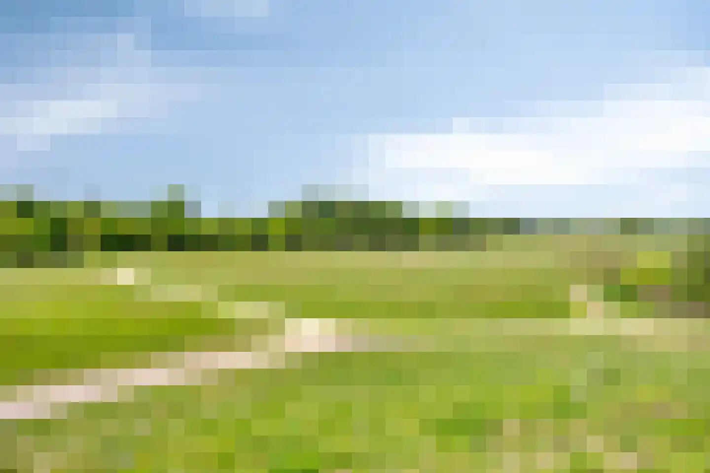 Welallee 14 Beegden thumbnail 48