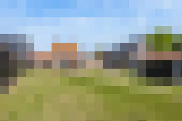 Welbergsedijk 22 Steenbergen thumbnail 22