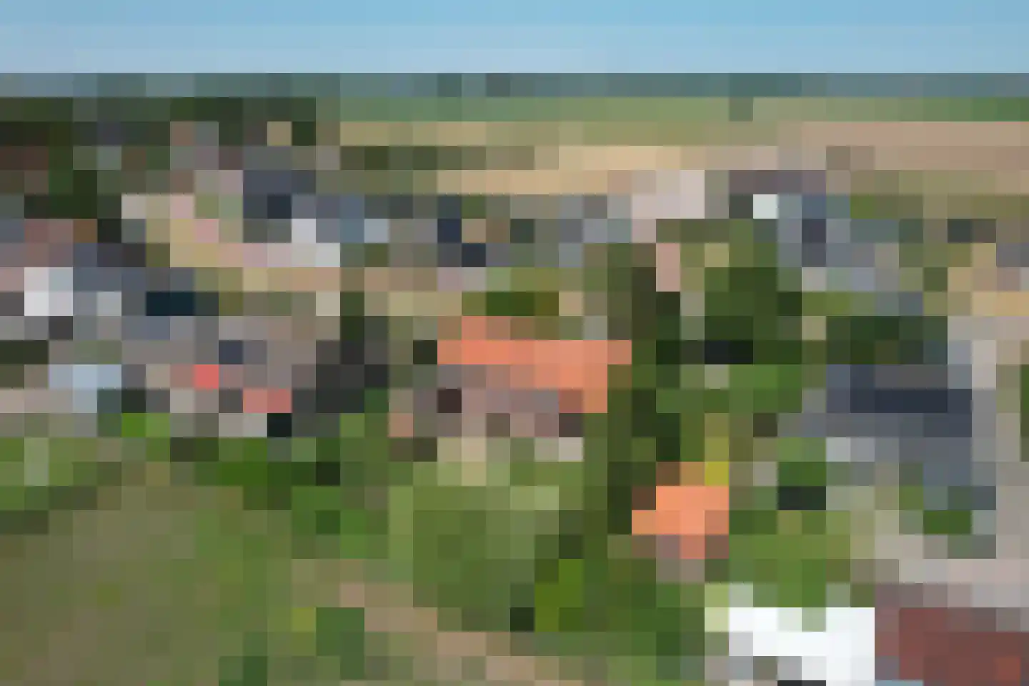 Welbergsedijk 50 Steenbergen thumbnail 46