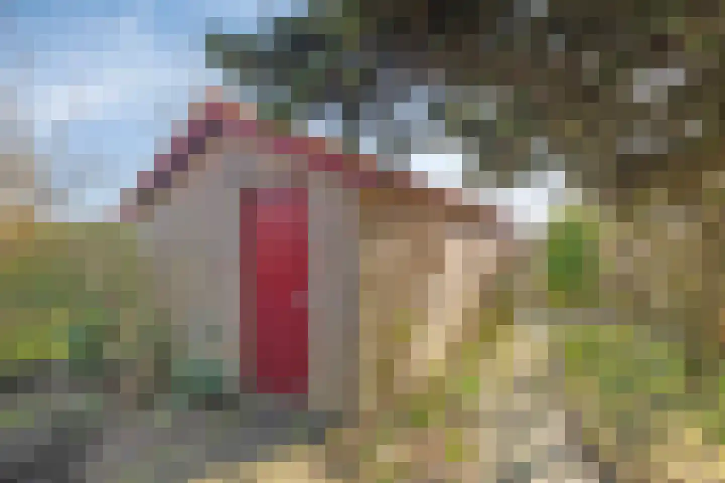 Welbergsedijk 50 Steenbergen thumbnail 47
