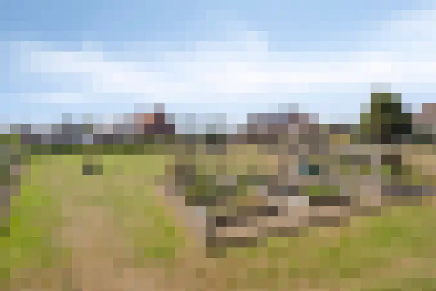 Welbergsedijk 52 b Steenbergen thumbnail 32