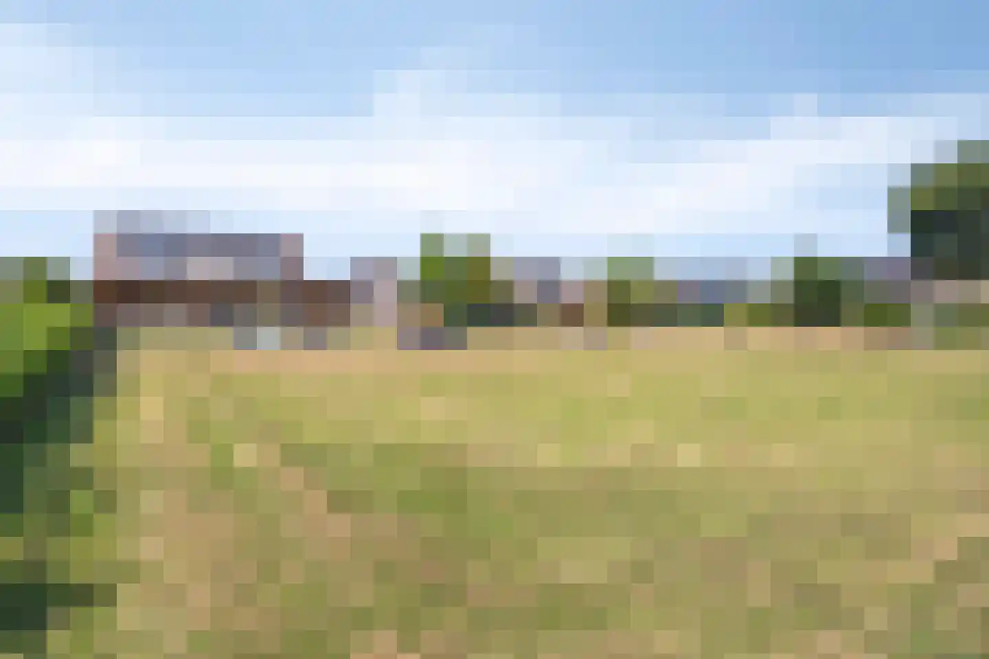Welbergsedijk 52 b Steenbergen thumbnail 4