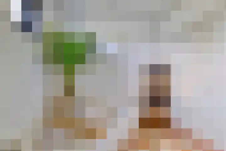 Welbergswegje 4 Steenbergen thumbnail 18
