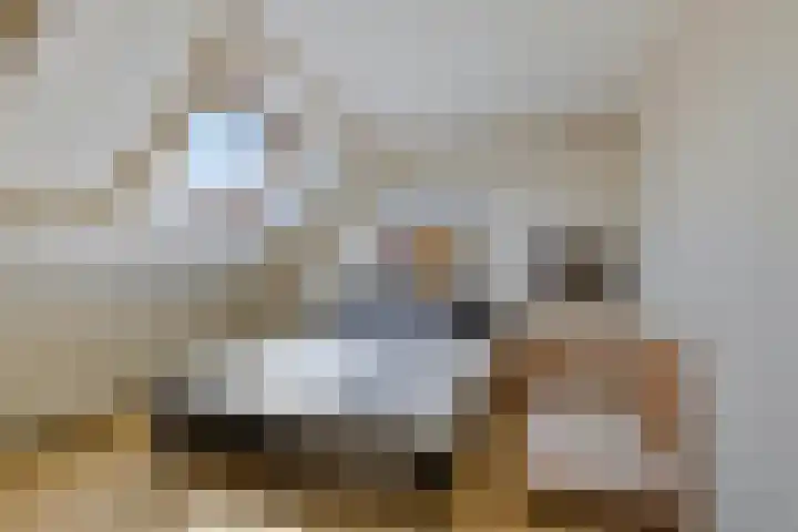 Welbergswegje 4 Steenbergen thumbnail 26