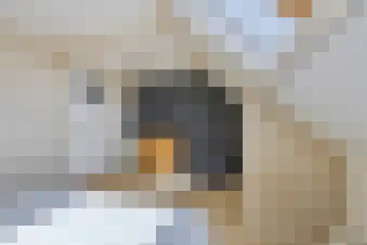 Welbergswegje 4 Steenbergen thumbnail 27