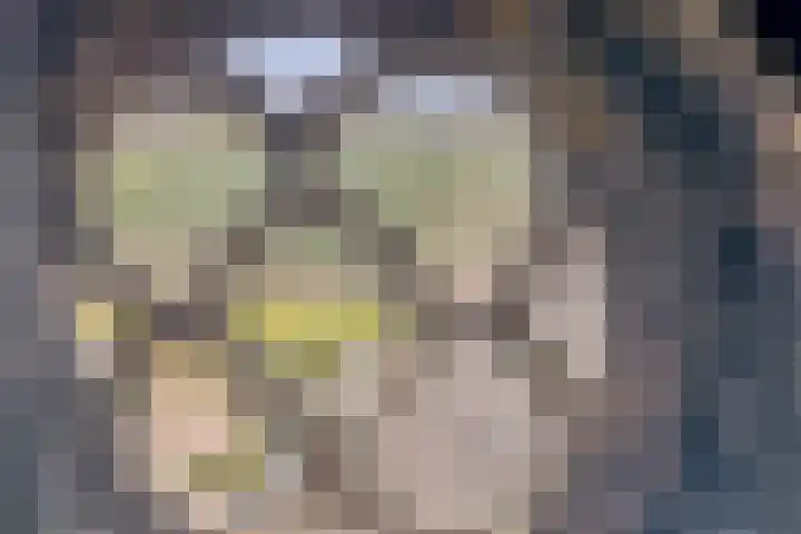 Welbergswegje 4 Steenbergen thumbnail 36