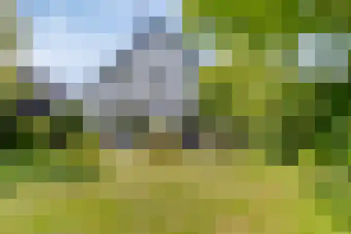 Welbergswegje 4 Steenbergen thumbnail 37