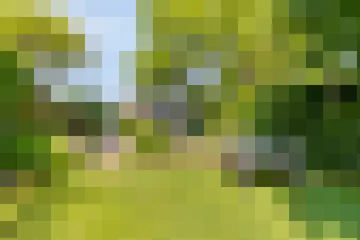 Welbergswegje 4 Steenbergen thumbnail 38