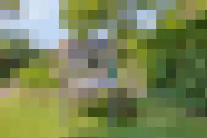 Welbergswegje 4 Steenbergen thumbnail 39