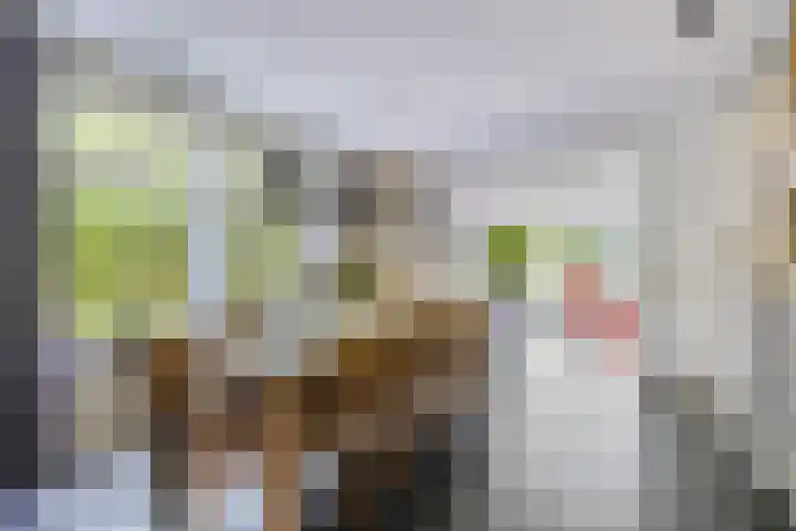 Welbergswegje 4 Steenbergen thumbnail 4