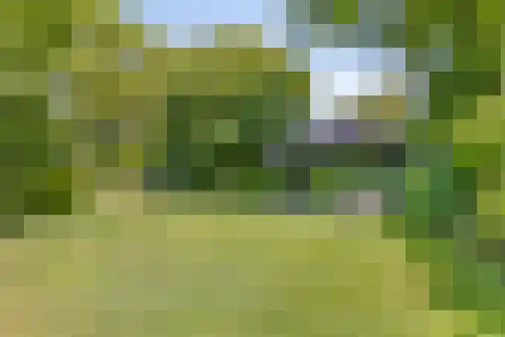 Welbergswegje 4 Steenbergen thumbnail 40