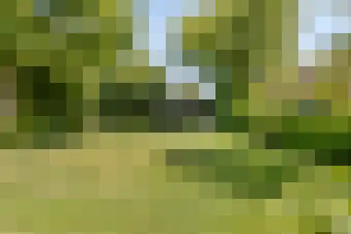 Welbergswegje 4 Steenbergen thumbnail 41