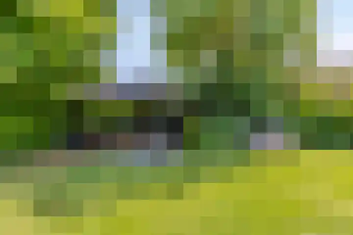 Welbergswegje 4 Steenbergen thumbnail 42