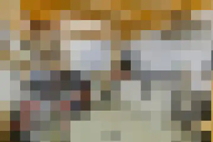 Welbergswegje 4 Steenbergen thumbnail 44