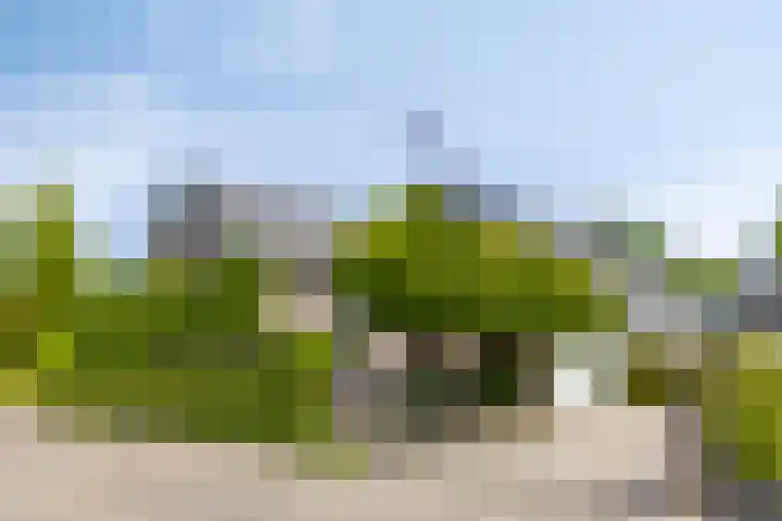 Welbergswegje 4 Steenbergen thumbnail 57