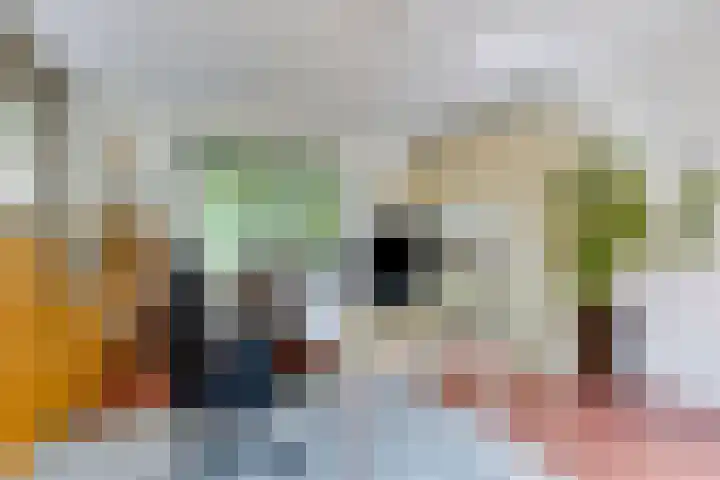 Welbergswegje 4 Steenbergen thumbnail 8