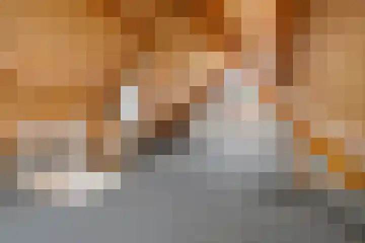 Welborchlanden 12 Enschede thumbnail 25