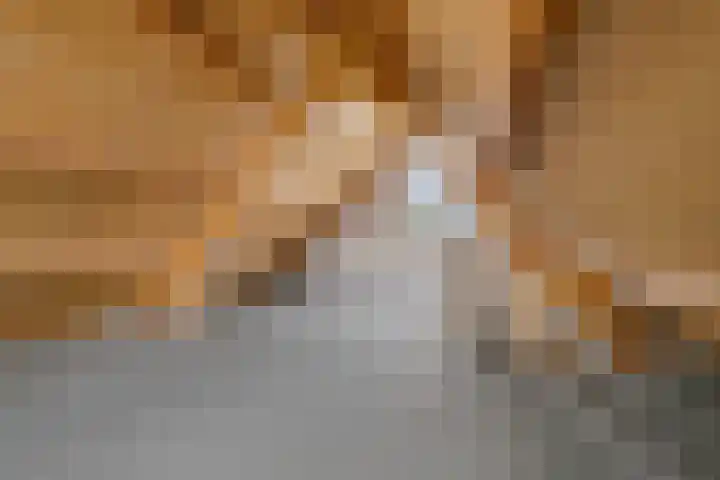 Welborchlanden 12 Enschede thumbnail 27