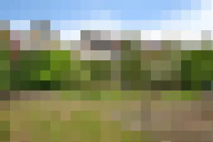 Welborchlanden 12 Enschede thumbnail 29