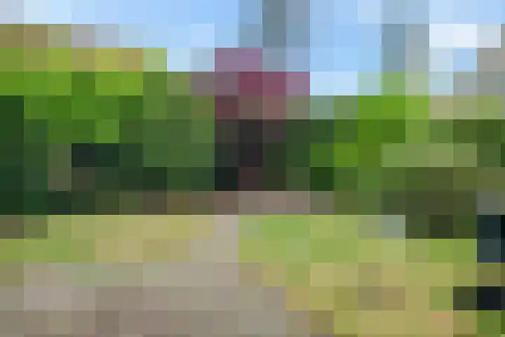 Welborchlanden 12 Enschede thumbnail 30