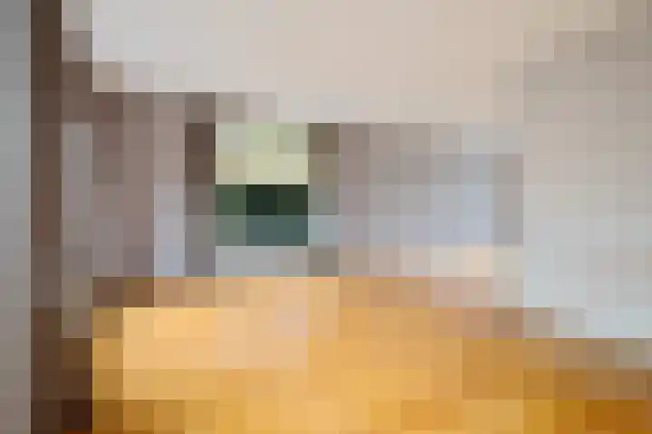 Welborchlanden 12 Enschede thumbnail 9