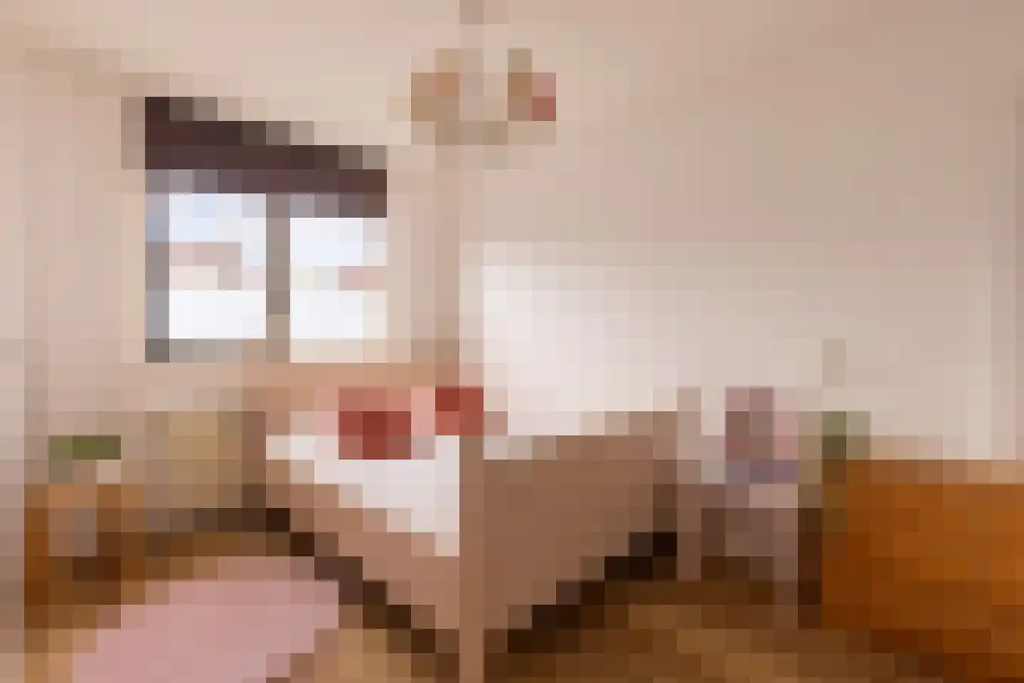 Welborchlanden 6 Enschede thumbnail 17