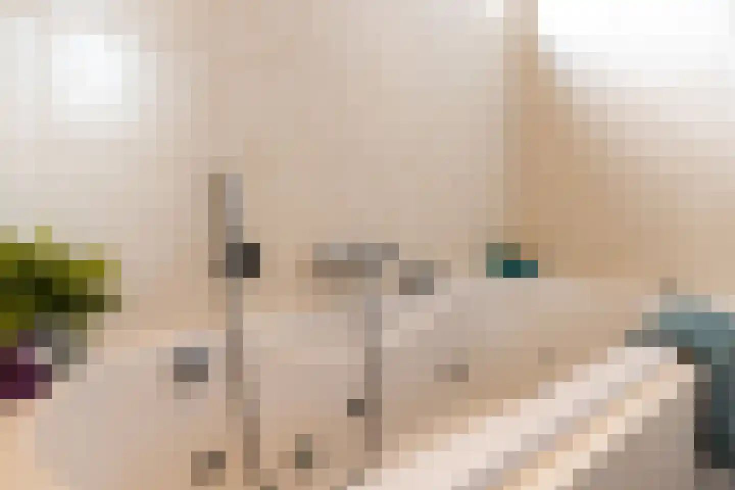 Welborchlanden 6 Enschede thumbnail 21