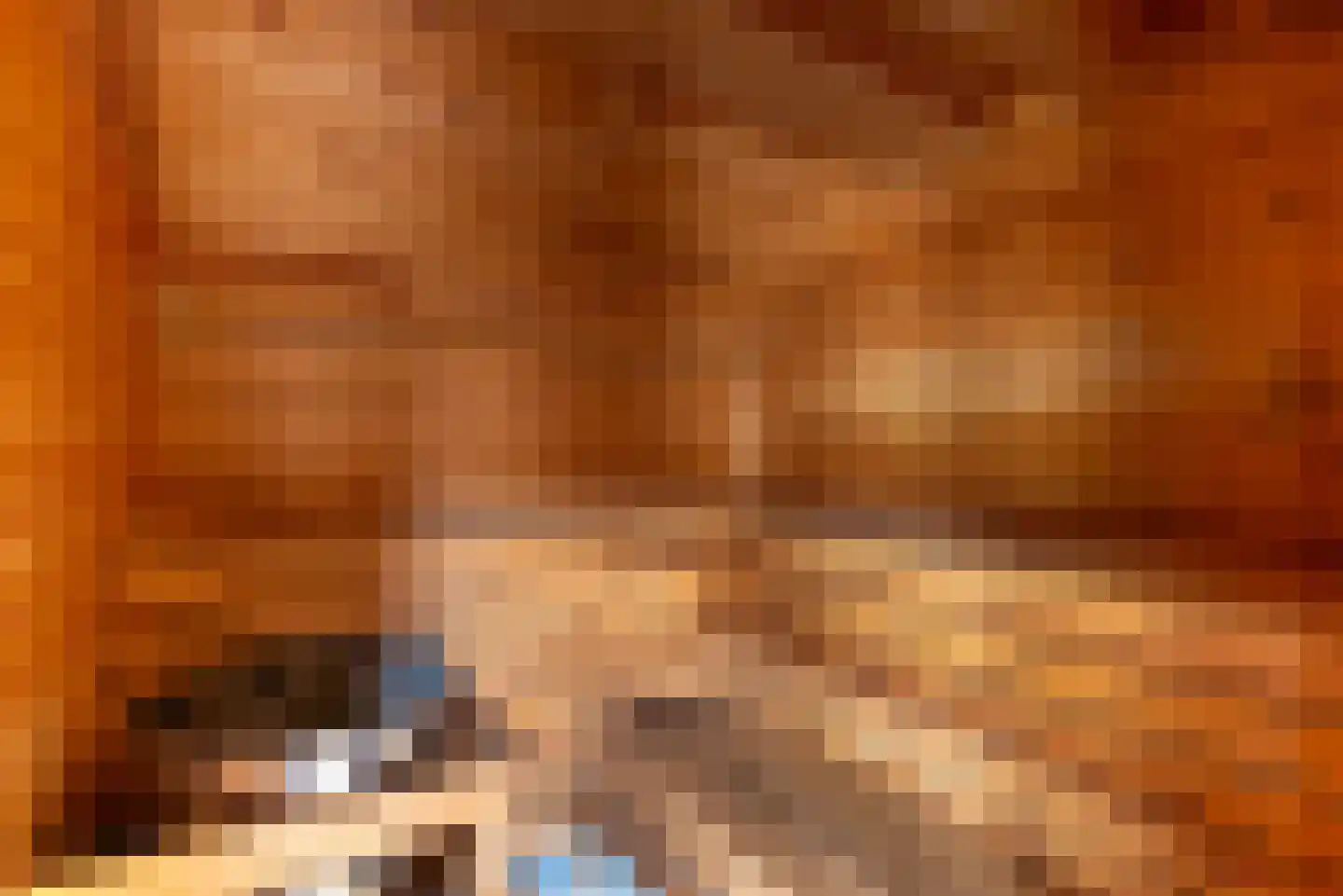 Welborchlanden 6 Enschede thumbnail 23