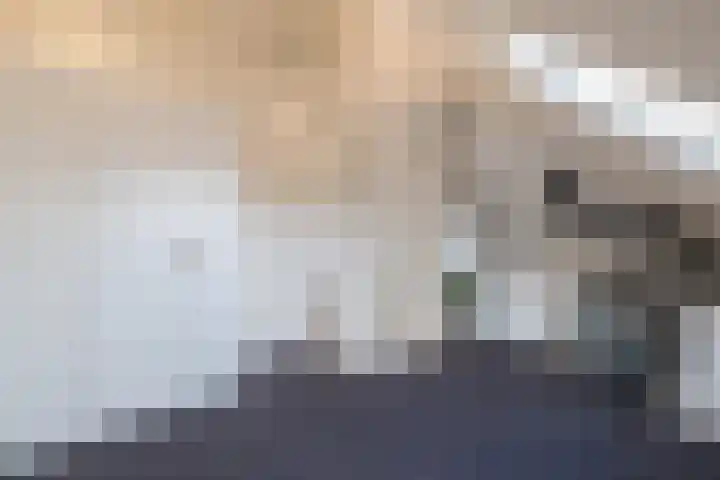 Weldadigheid 31 Tuk thumbnail 26