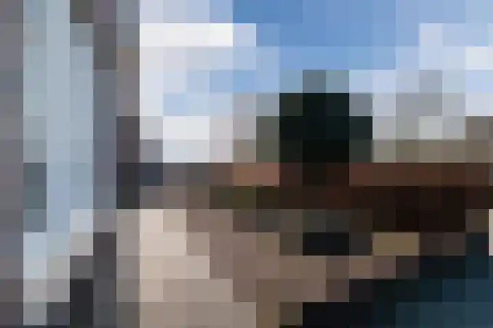Weldadigheid 31 Tuk foto 3