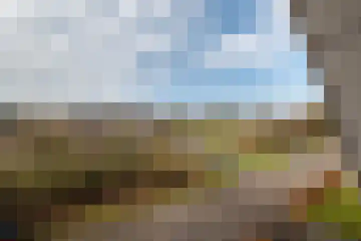 Weldadigheid 31 Tuk thumbnail 30