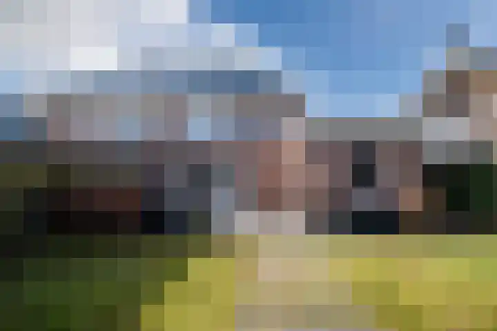 Weldadigheid 31 Tuk thumbnail 31