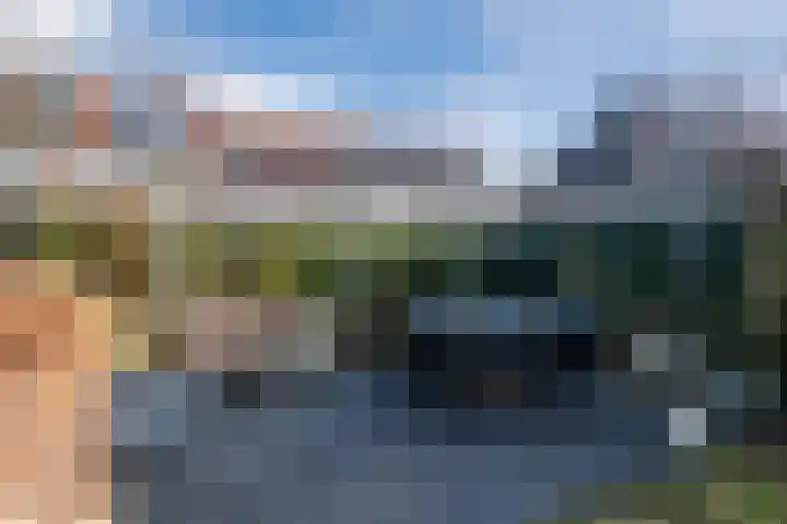 Weldadigheid 31 Tuk thumbnail 33