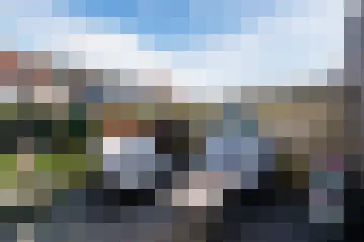 Weldadigheid 31 Tuk thumbnail 35