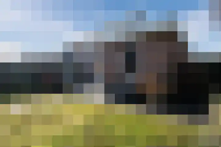 Weldadigheid 31 Tuk thumbnail 36