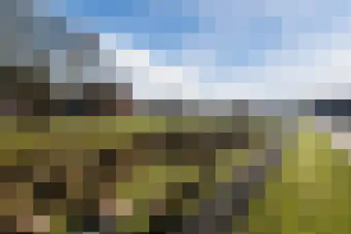 Weldadigheid 31 Tuk thumbnail 39