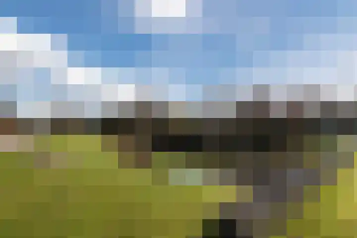 Weldadigheid 31 Tuk thumbnail 40