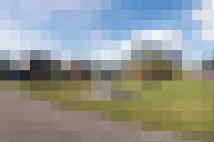 Weldadigheid 31 Tuk thumbnail 41