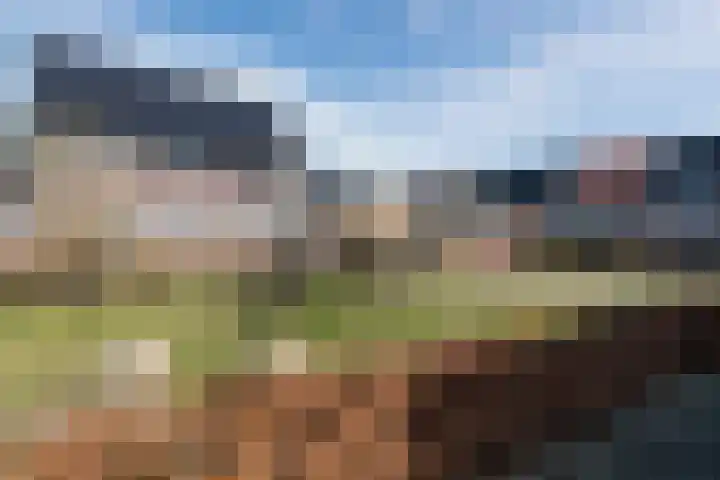 Weldadigheid 31 Tuk thumbnail 42