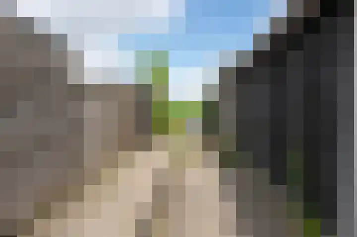 Weldadigheid 51 Tuk thumbnail 39