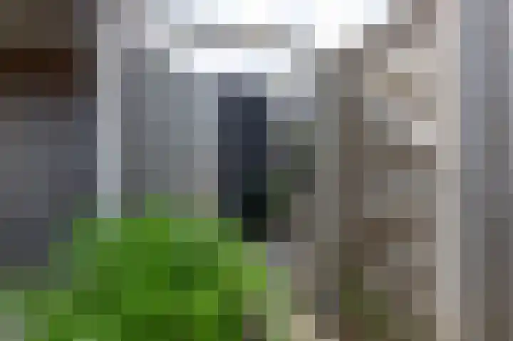 Weldadigheid 51 Tuk thumbnail 40