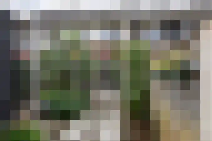 Weldadigheid 51 Tuk thumbnail 41