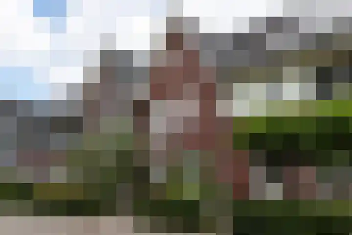 Weldadigheid 51 Tuk thumbnail 45