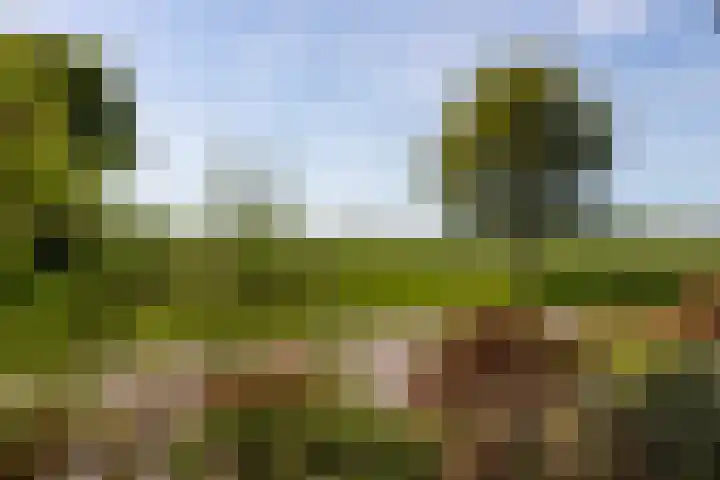 Weldadigheid 57 Tuk thumbnail 4