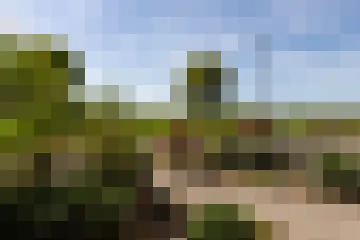 Weldadigheid 57 Tuk thumbnail 52