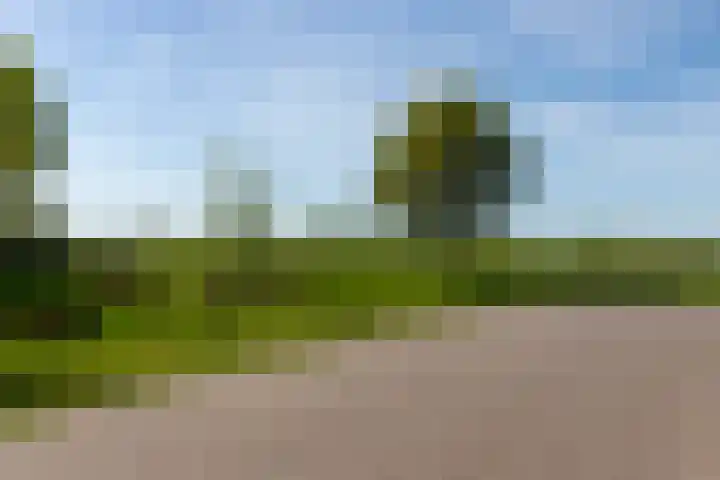 Weldadigheid 57 Tuk thumbnail 54