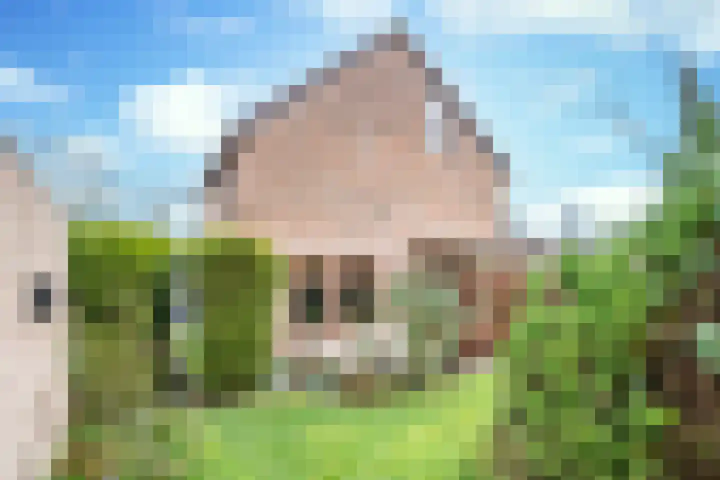 Weldam 3 Eindhoven thumbnail 48
