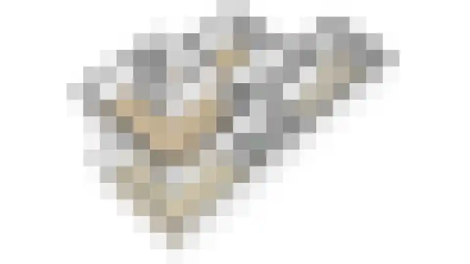 Weldam 3 Eindhoven thumbnail 56