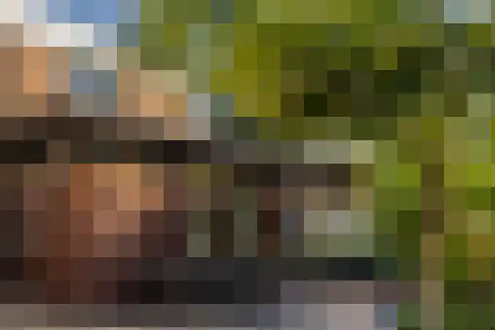 Weldam 4 in Amsterdam