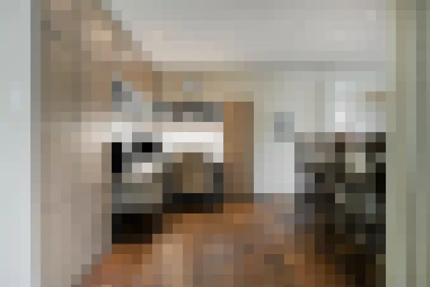Weldam 5 Eindhoven thumbnail 17